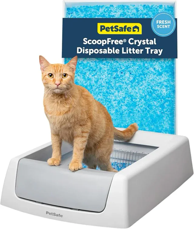 PetSafe ScoopFree Crystal Classic, melhor caixa de areia para gatos autolimpante 2026