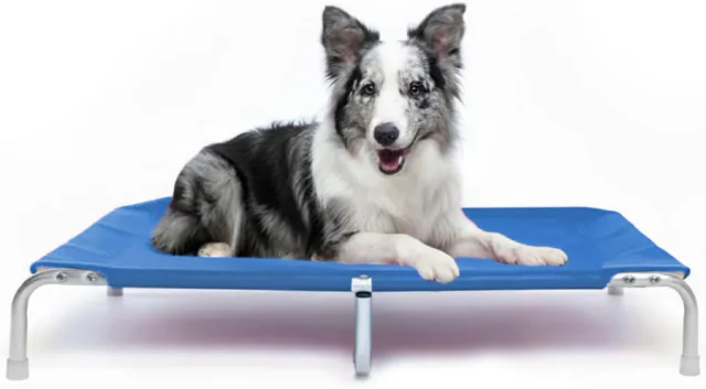 Dogets SuspenBed G como cama para cachorro suspensa com estrutura de alumínio