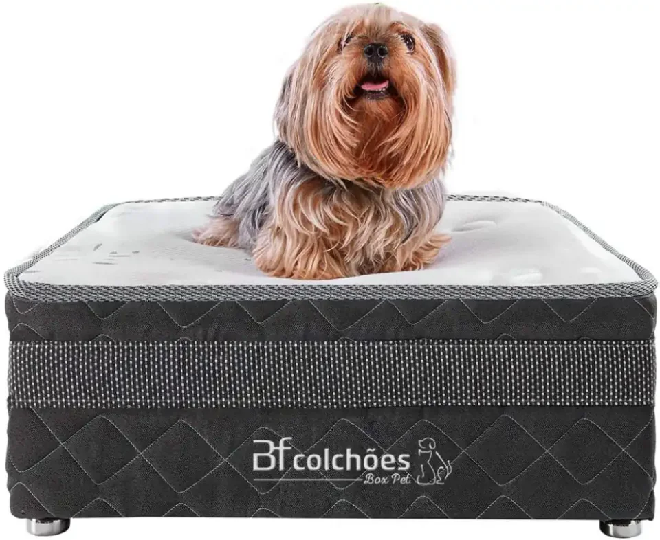 BF Colchões Cama Box Pet como cama para cachorro elevada com lençol impermeável
