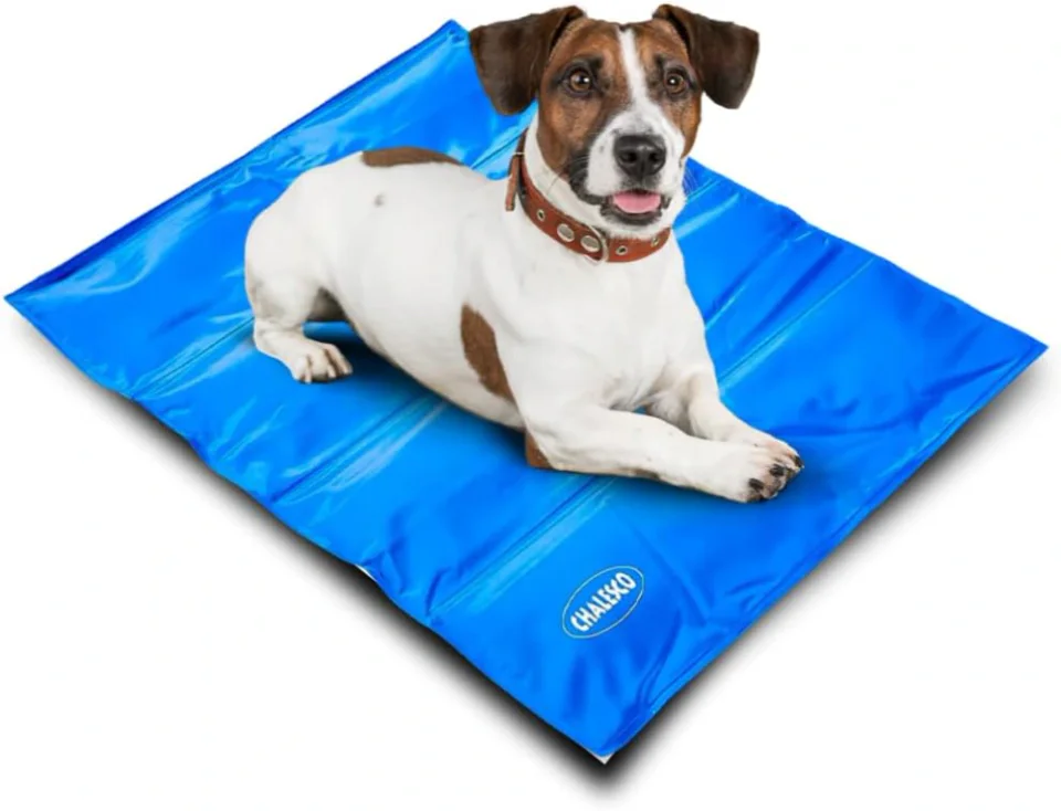 Chalesco Tapete Gelado G como cama para cachorro refrescante