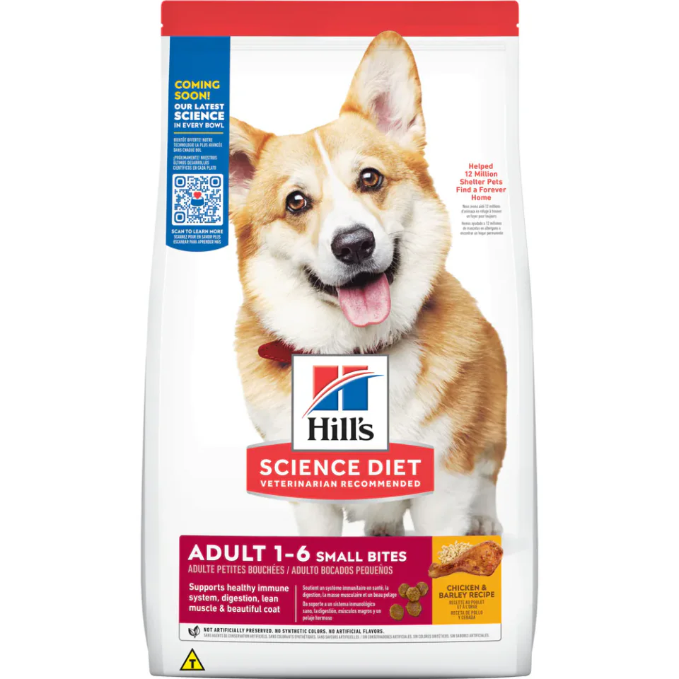 Hill's Science Diet Small Bites como ração para cães adultos com grão pequeno