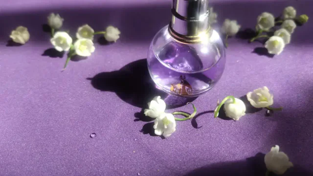 perfume importado para presente