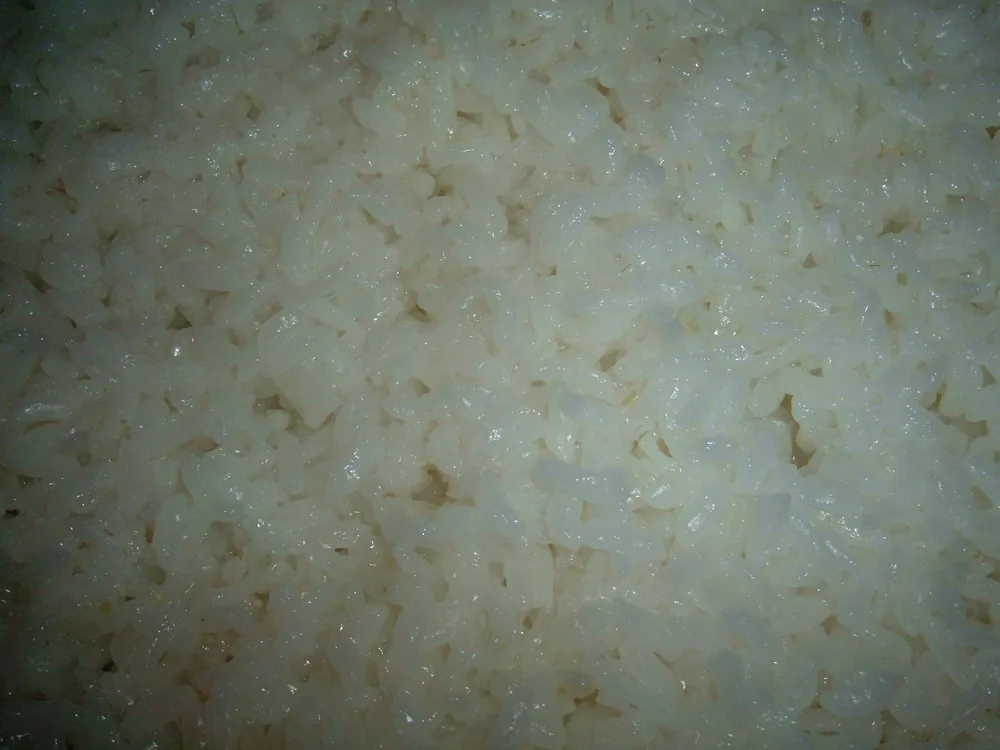 arroz pronto na panela eletrica de arroz arroz pronto na panela eletrica de arroz