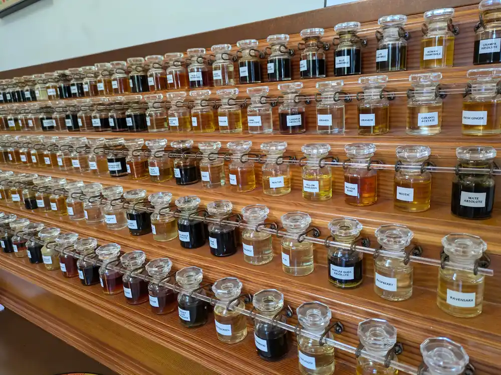 famílias olfativas para escolher perfume importado para presente organização de essências para entender famílias olfativas de perfume importado para presente